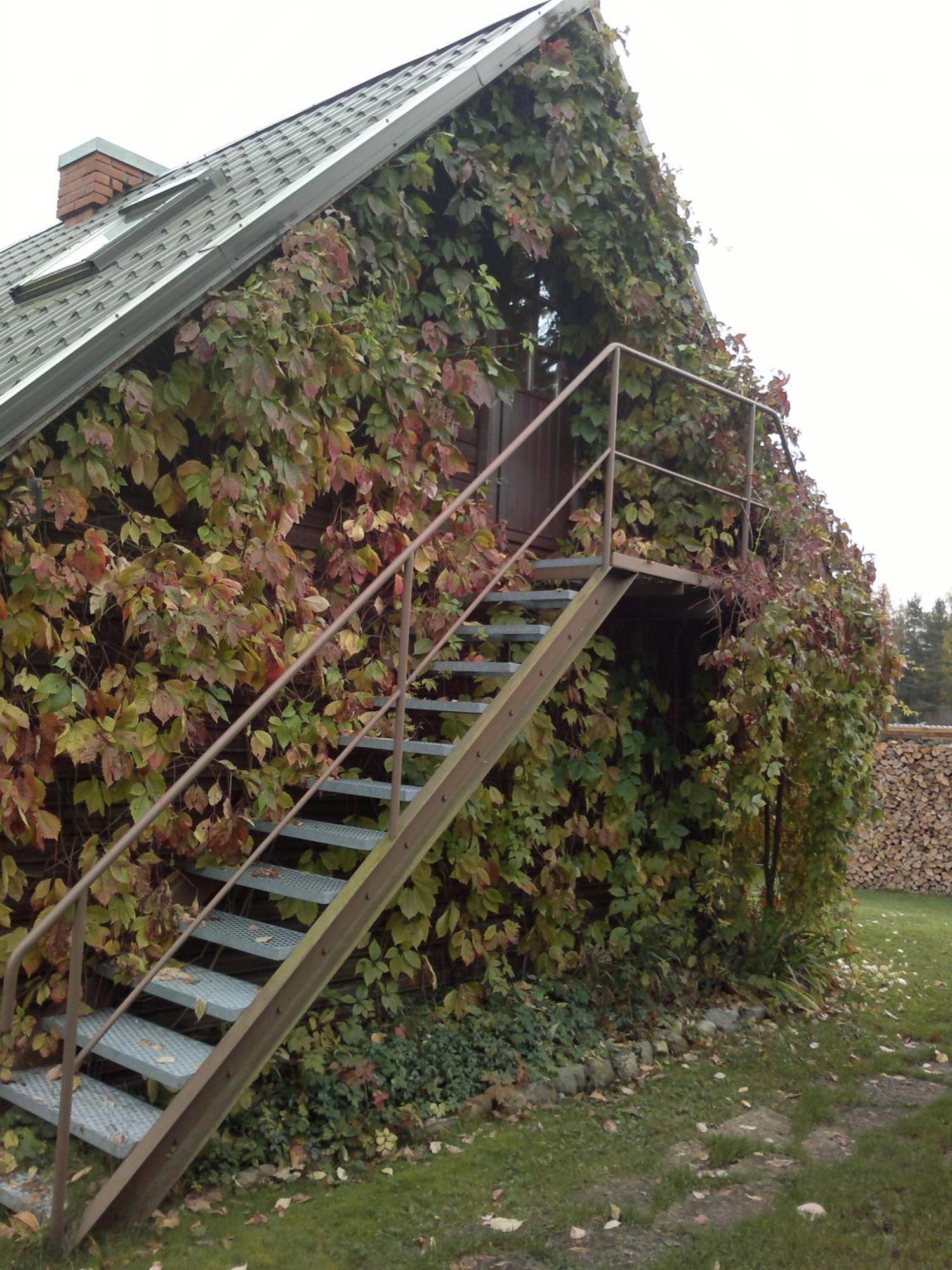 Käsmu Laane Pansion Bed & Breakfast エクステリア 写真